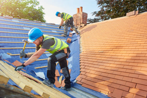 Best Roof Ventilation Installation  in Arbury Hls, IL